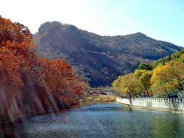 饶平县市场监督管理局新项目推动市场监管现代化，助力地方经济飞跃发展